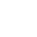 Simplification Module Icon