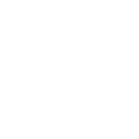 Simplification Module Icon
